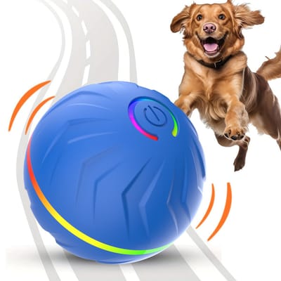 Daity Interactieve hondenbal - een slim interactief hondenspeeltje dat automatisch stuitert en rolt wanneer het wordt bewogen - geschikt voor puppy's/kleine/middelgrote honden.