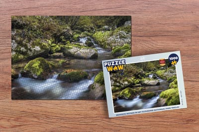 Puzzel Bemoste rotsen in het Sloveense Nationaal park Triglav - Legpuzzel - Puzzel 1000 stukjes volwassenen