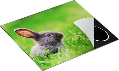 Chefcare Inductie Beschermer Konijn in het Gras - 60x50 cm - Afdekplaat Inductie - Kookplaat Beschermer - Inductie Mat