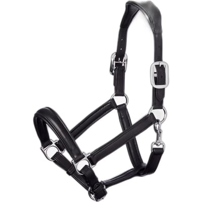Halster voor paarden LeMieux Anatomic