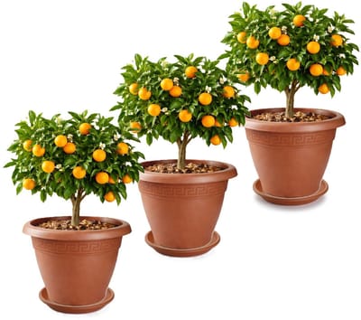 Plasticforte 3x plantenpot met opvang schaal - terracotta - rond - D50 x H40 cm - kunststof - buiten - tuin - bloempot