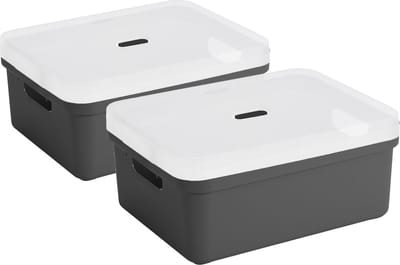 Sunware opbergbox - 2x stuks - 24 liter - antraciet - kunststof - transparante deksel - 45x35x18 cm - Sigma serie