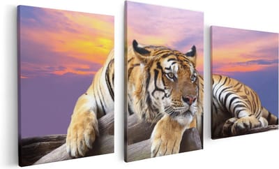 Artaza Canvas Schilderij Drieluik Tijger Tijdens Zonsondergang - 120x60 - Foto Op Canvas - Canvas Print