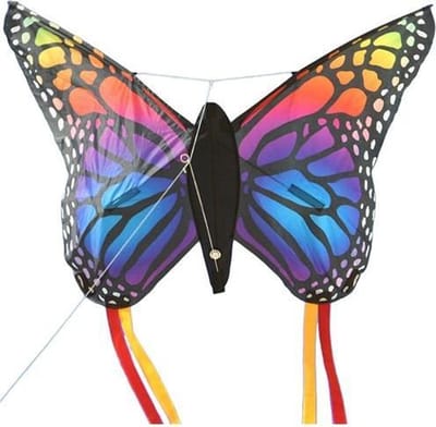Spiderkites - Butterfly Kite - Kindervlieger - Regenboog