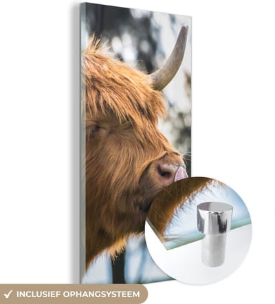 MuchoWow® Glasschilderij 20x40 cm - Schilderij acrylglas - Schotse Hooglander - Neus - Boom - Foto op glas - Schilderijen