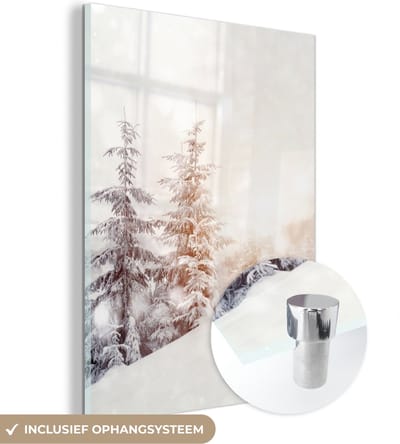 MuchoWow® Glasschilderij 30x40 cm - Schilderij acrylglas - Boom - Sneeuw - Winter - Foto op glas - Schilderijen