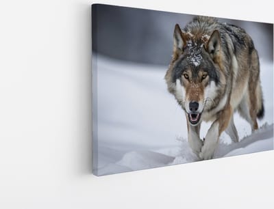 Saammp - Canvas Schilderij - Wolf in de sneeuw - Winter - Dieren - Natuur - 30x20 - Foto op canvas - Wanddecoratie - muurdecoratie Woonkamer - Slaapkamer decoratie - Canvas Print