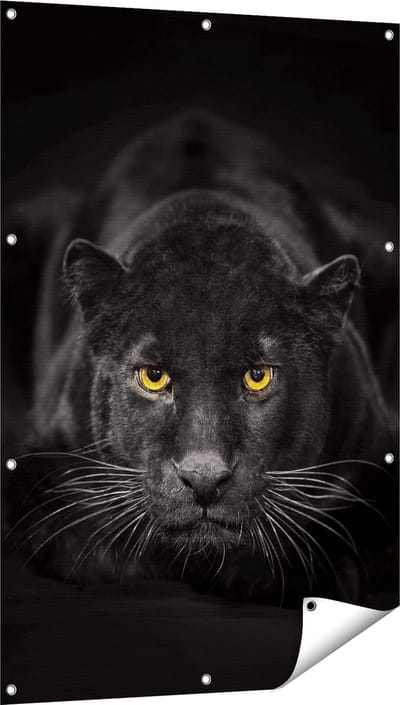 Gards Tuinposter Zwarte Panter met Oranje Ogen - 80x120 cm - Tuindoek - Tuindecoratie - Wanddecoratie buiten - Tuinschilderij