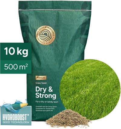 MRS Graszaad Droogtebestendig Premium - 10 kg voor 500 m² - Sterk en diepwortelend gras - Minder bewatering nodig - Droogte- en hittetolerant - Met Hydroboost-coating - NAK Gecertificeerd