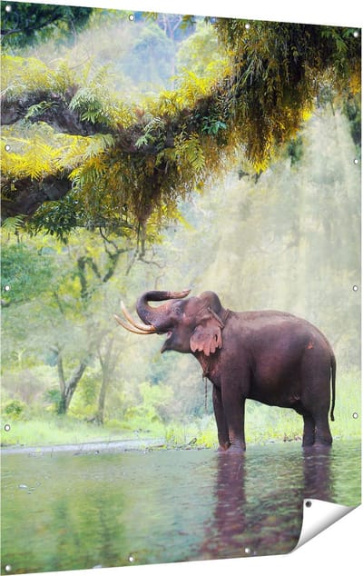 Gards Tuinposter Vrolijke Olifant in het Water - 120x160 cm - Tuindoek - Tuindecoratie - Wanddecoratie buiten - Tuinschilderij