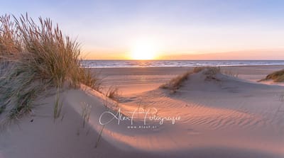 Canvas Schilderij, Foto op Canvas, Zon,Zee, Duinen Formaat:  (120x80cm)
