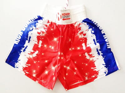 Nihon Kickboxing Shorts Dutch Stars (Maat: L)