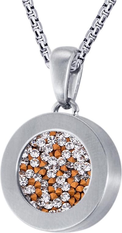 Quiges 12mm Mini Munt Hanger Zilverkleurig RVS Mat met Zirkonia Transparant Munt en met Anker Ketting 42-46cm