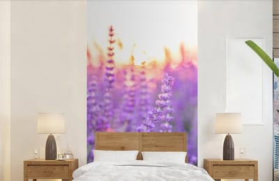 Behang - Fotobehang Lavendel - Close-up - Paars - Bloemen - Breedte 120 cm x hoogte 240 cm