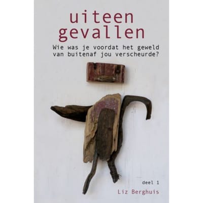 Uiteengevallen - Liz Berghuis