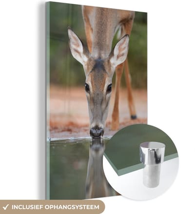 MuchoWow® Glasschilderij 40x60 cm - Schilderij acrylglas - Hert - Water - Drinken - Foto op glas - Schilderijen