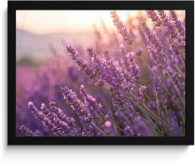 Poster in lijst - Fotolijst 40x30 cm - Posters - Lavendel - Paars - Zonlicht - Posterlijst zwart - Decoratie - Wanddecoratie woonkamer - Muurdecoratie slaapkamer