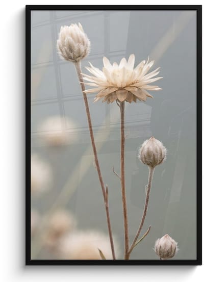 Poster in lijst - Fotolijst 80x120 cm - Posters - Strobloemen - Wit - Daglicht - Posterlijst zwart - Decoratie - Wanddecoratie woonkamer - Muurdecoratie slaapkamer