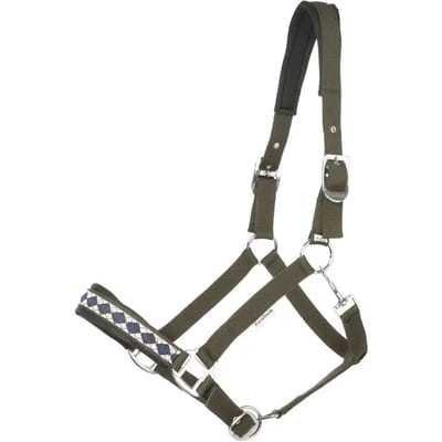 Halster voor paarden Kavalkade Draft Horse-Classic