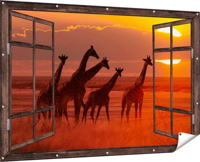 Gards Tuinposter Doorkijk Giraffe Kudde bij Zonsondergang - 180x120 cm - Tuindoek - Tuindecoratie - Wanddecoratie buiten - Tuinschilderij