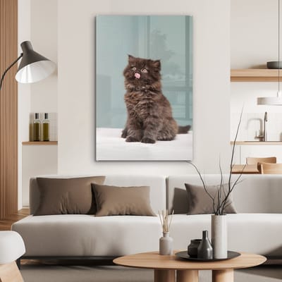 MuchoWow® Glasschilderij 60x90 cm - Schilderij acrylglas - Kitten - Perziche Kat - Tong - Meisjes - Kinderen - Jongens - Kids - Foto op glas - Schilderijen