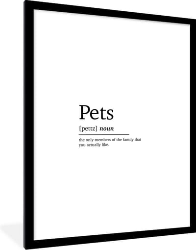 Fotolijst incl. Poster - Huisdieren definitie - Quotes - Spreuken - Pets - Woordenboek - 60x80 cm - Posterlijst