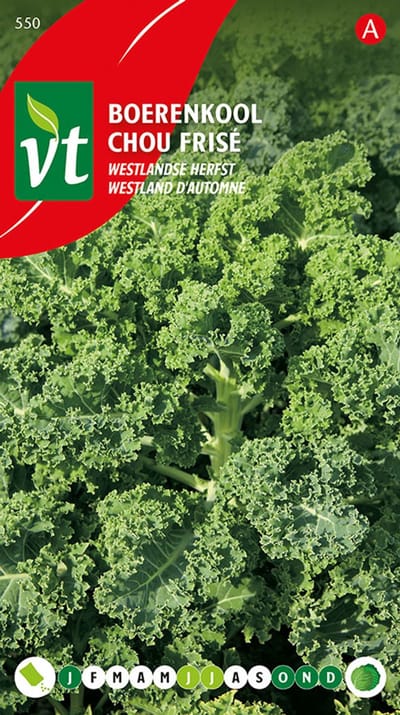 Boerenkool Westlandse Herfst - Weinig eisen, ideaal voor herfstteelt
