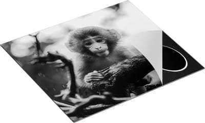 Chefcare Inductie Beschermer Klein Baby Aapje op een Tak - Zwart Wit - 60x50 cm - Afdekplaat Inductie - Kookplaat Beschermer - Inductie Mat