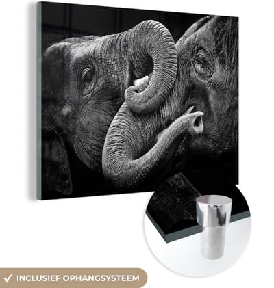 MuchoWow® Glasschilderij 160x120 cm - Schilderij acrylglas - Olifant - Dier - Slurf - Foto op glas - Schilderijen