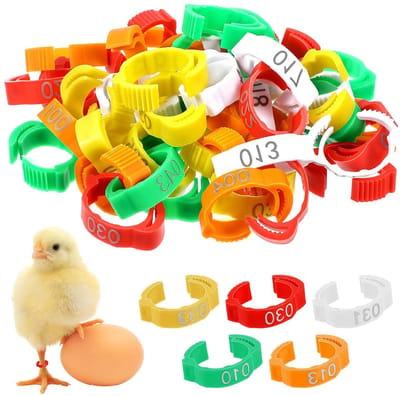 50 Stuks Kippenringen voor Identificatie van Gevogelte, Voetringen voor Kippen en Eenden, Genummerde Clip-on Labels in 5 Kleuren (16-18,5 mm)