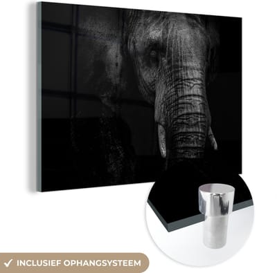 MuchoWow® Glasschilderij 120x80 cm - Schilderij acrylglas - Olifant - Dier - Portret - Foto op glas - Schilderijen