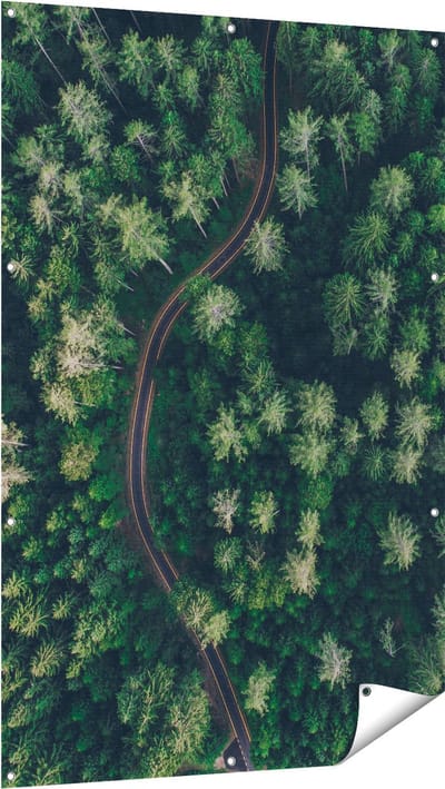 Gards Tuinposter Weg Door Bos met Bomen - Bovenaanzicht - 100x150 cm - Tuindoek - Tuindecoratie - Wanddecoratie buiten - Tuinschilderij