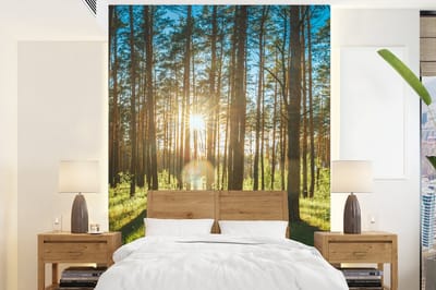 Behang - Fotobehang Zon - Bomen - Landschap - Gras - Breedte 195 cm x hoogte 260 cm