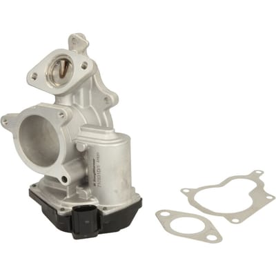 Borg Warner EGR-klep WAHLER WA710931D/1
