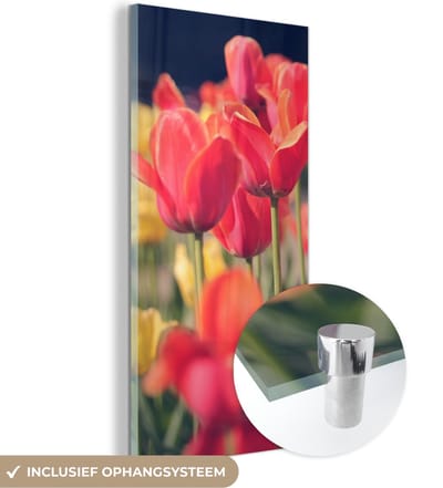 MuchoWow® Glasschilderij 20x40 cm - Schilderij acrylglas - Tulpen - Bloemen - Natuur - Foto op glas - Schilderijen