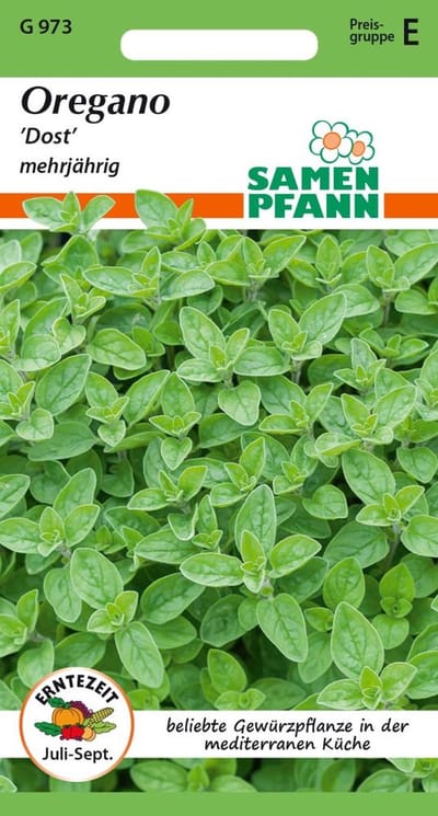Oregano/Oregano - Kruidenzaden Specerijenzaden