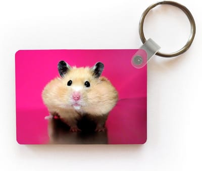 Sleutelhanger - Hamster met roze achtergrond - Uitdeelcadeautjes - Plastic