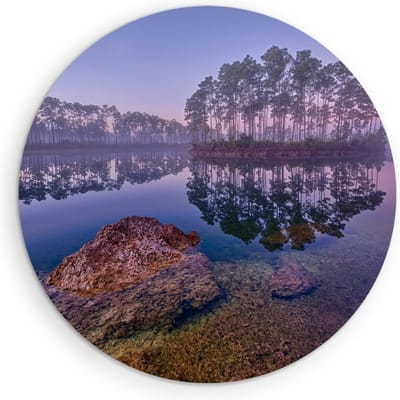 Saammp Muurcirkel Hout -Bos - Zonlicht - Zomer - Landschap - Natuur - Ø 90 - Wandcirkel - Wanddecoratie Cirkel - Muurdecoratie Woonkamer - Slaapkamer decoratie - Rond Schilderij