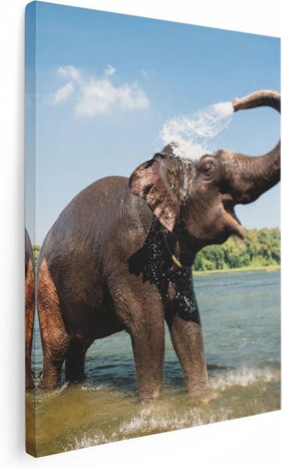 Artaza Canvas Schilderij Olifant - 60x80 cm - Wanddecoratie Dieren - Muurdecoratie Rivier Thailand - Schilderijen Op Canvas