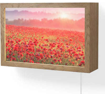 Wandlamp 30x20 cm - Oplaadbaar - Bloemen - Klaprozen - Rood - Bloemenveld - Wandlampen binnen woonkamer - Slaapkamer lamp met kabel - Decoratieve nachtlamp - Vloerlamp snoer