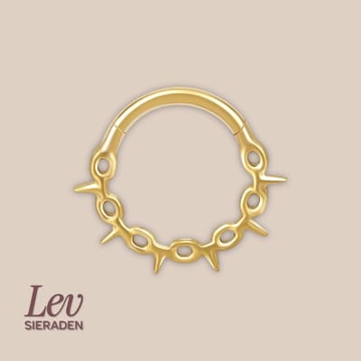 Lev Sieraden - Titanium premium neus ring - gouden prikkeldraad segment ring - 1.2x8mm - Goud - segment ring - neuspiercing - tragus piercing - Oorpiercing