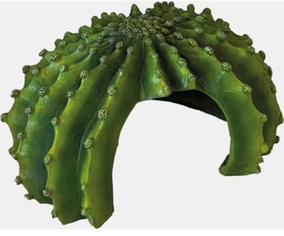 Repto Deco Cactus XL schuilplaats 24 x 19 x 12 cm voor terrarium