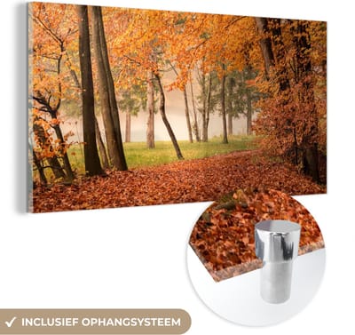 MuchoWow® Glasschilderij 40x20 cm - Schilderij acrylglas - Bladeren - Herfst - Bos - Foto op glas - Schilderijen