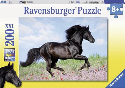 Zwarte hengst