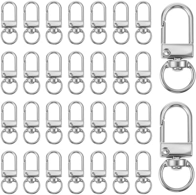 Dailygoods - 30 stuks mini-kleine karabijnhaken, sleutelhangers, draaibaar, kleine karabijnhaak met draaischarnier, metalen karabijnsluitingen, 360° draaibare karabijnhaak, zilver, voor doe-het-zelf tas