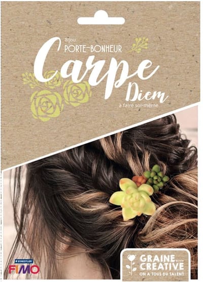 GRAINES CREATIVES - Geluksbrenger sieradenkit haarklemmen van Fimo succulenten