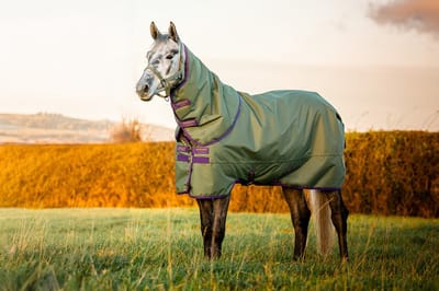 Horseware Deken Horseware Amigo Hero Plus Med 200gr Pony Groen - 85/130