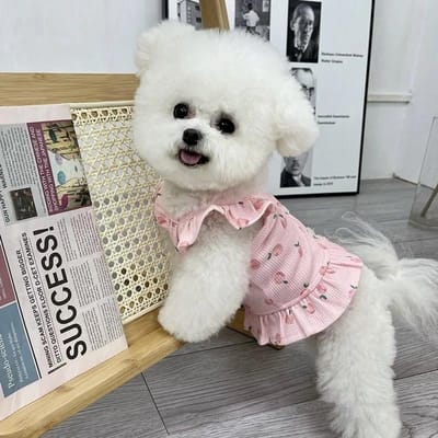 Huisdier Prinses voor Hond Kleine Hondenkleding Schattige Perzik Vliegende Mouw Hond Jurk voor Vrouwelijke Kat Rok S-XL S gray
