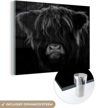 MuchoWow® Glasschilderij 40x30 cm - Schilderij acrylglas - Schotse Hooglander - Koe - Portret - Dieren - Zwart - Wit - Foto op glas - Schilderijen