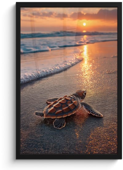 Poster in lijst - Fotolijst 40x60 cm - Posters - Schildpad - strand - Zonsondergang - Posterlijst zwart - Decoratie - Wanddecoratie woonkamer - Muurdecoratie slaapkamer